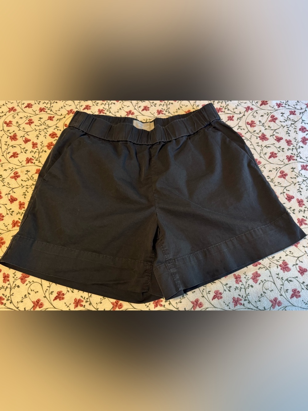 Everlane Black Women's Elastic-Waist Casual Shorts